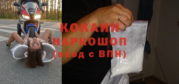 стафф Елизово