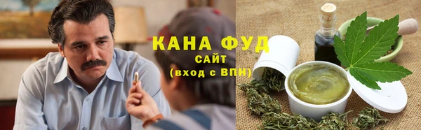 гидра Ельня