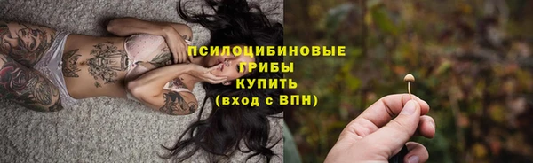 стафф Елизово
