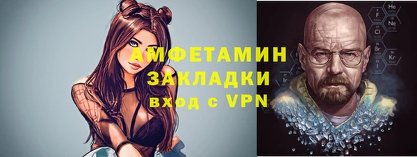 гидра Ельня