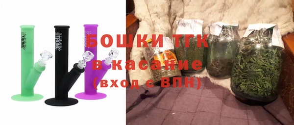 гидра Ельня