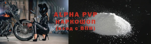 стафф Елизово