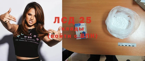 гидра Ельня