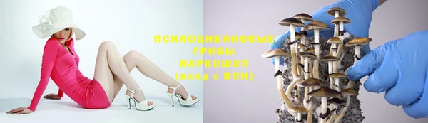 не бодяженный Елабуга