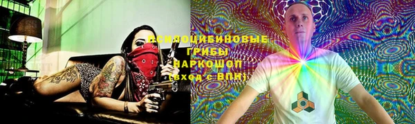 не бодяженный Елабуга