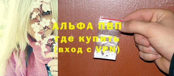 гидра Ельня