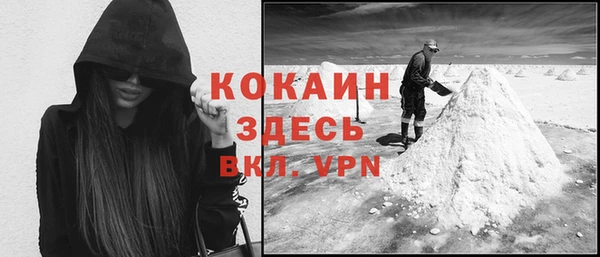 стафф Елизово