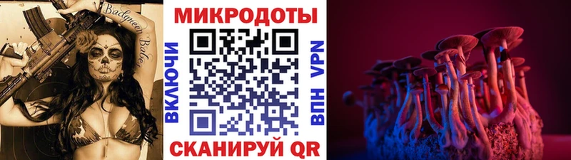 Псилоцибиновые грибы Psilocybine cubensis  Емва 
